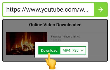 ensavefro|Online Video Downloader .